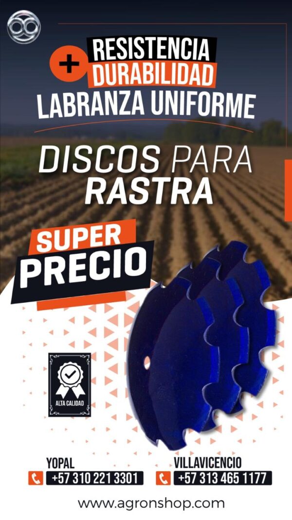 WhatsApp Image 2025-12-18 at 10.54.36 AM